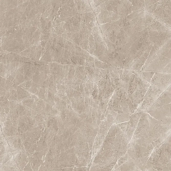Напольная Frappuccino Taupe Polished 120x120